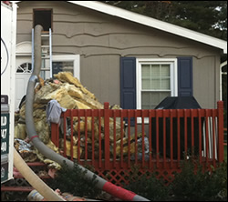 bat removal Los Altos